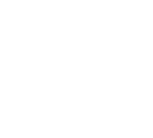 4- dp world